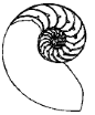 Logo Nautilus